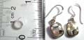 Sterling silver earring with elliptical shape spotted seashell stone inlaid, fish hook back