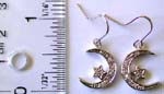 Fashion earring in multi mini clear cz embedded star in moon pattern design, fish hook back