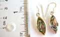 Solid 925. sterling silver earring with fish hook back with olive shape abalone seashell inlaid