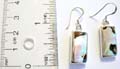 Sterling silver rectangular shape fish hook earring with abalone and white seashell design 
