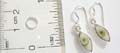 Shiva's eye seashell olive shape sterling silver earring with fish hook to fit