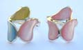 Sterling silver ring with assorted mother of pearl seashell in 3 irregular shape pattern design, assorted randomly pick
