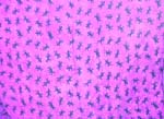 Stamp sarong pinky wrap with multi gecko pattern