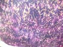 Fashion feline purple wrapping sarong