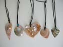 Assorted seashell group necklace
